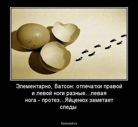 Элементарно, Ватсон:  отпечатки правой и левой ноги разные...левая нога - протез...Яйценюх заметает следы