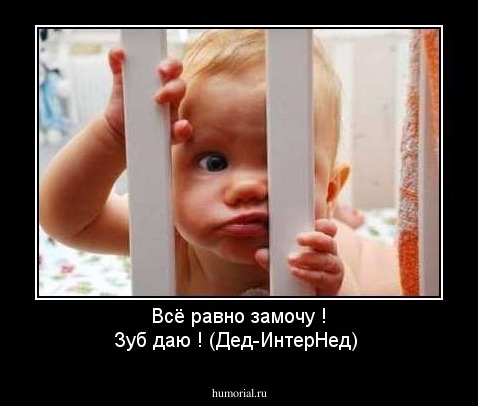 Всё равно замочу ! Зуб даю ! (Дед-ИнтерНед)
