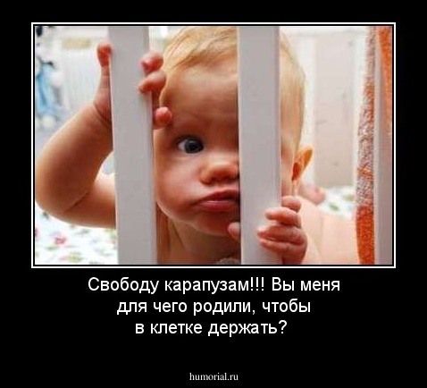 Свободу карапузам!!! Вы меня для чего родили, чтобы в клетке держать?