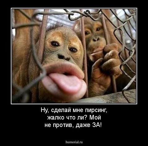 Ну, сделай мне пирсинг, жалко что ли? Мой не против, даже ЗА!
