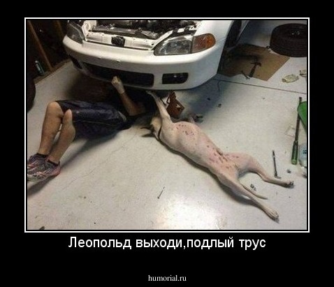 Леопольд выходи,подлый трус