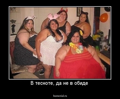 В тесноте, да не в обиде 