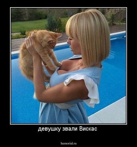 девушку звали Вискас 