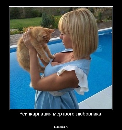 Реинкарнация мертвого любовника 
