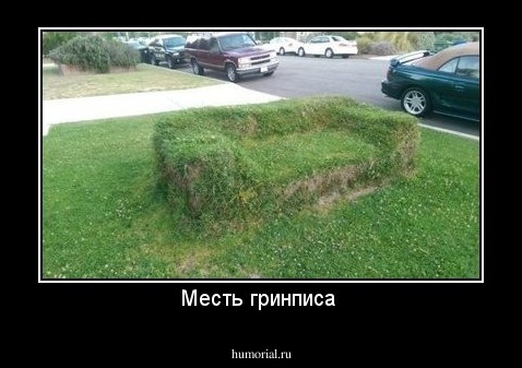 Месть гринписа 