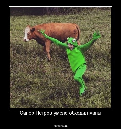 Сапер Петров умело обходил мины