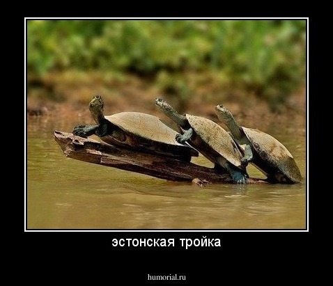 эстонская тройка