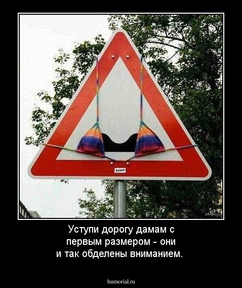 Уступи дорогу дамам с первым размером - они и так обделены вниманием.