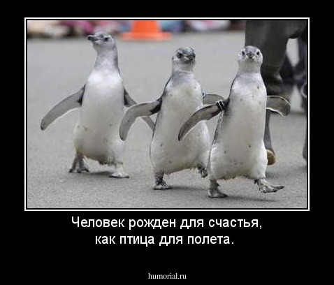  Человек рожден для счастья, как птица для полета.