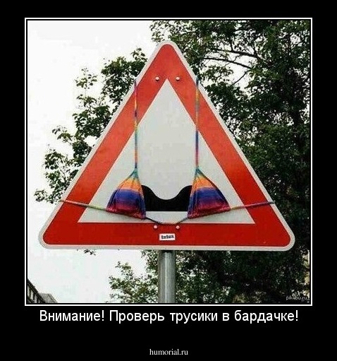 Внимание! Проверь трусики в бардачке!
