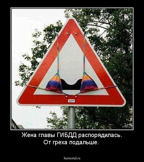 Жена главы ГИБДД распорядилась. От греха подальше.