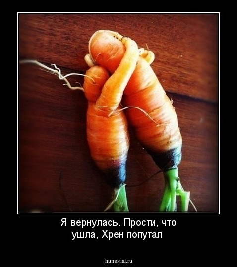 Я вернулась. Прости, что ушла, Хрен попутал 