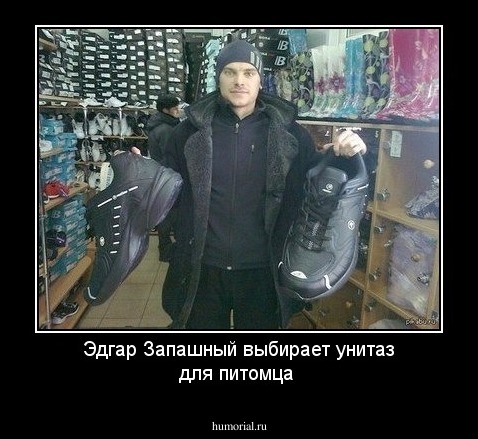 Эдгар Запашный выбирает унитаз для питомца 