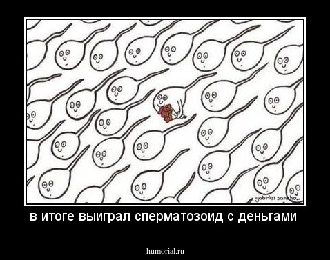 в итоге выиграл сперматозоид с деньгами 