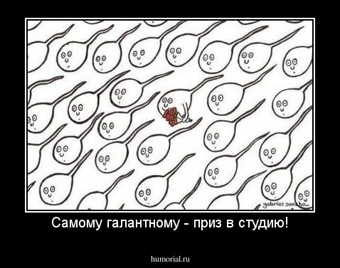 Самому галантному - приз в студию!