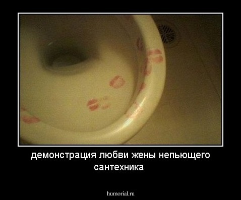 демонстрация любви жены непьющего сантехника