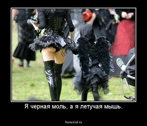 Я черная моль, а я летучая мышь.