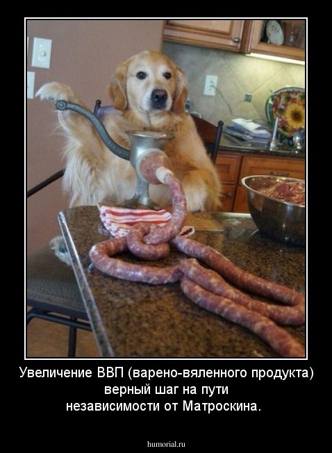 Увеличение ВВП (варено-вяленного продукта) верный шаг на пути независимости от Матроскина.