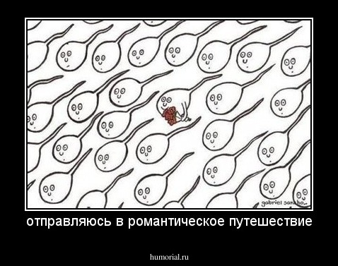 отправляюсь в романтическое путешествие