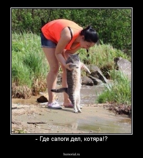 - Где сапоги дел, котяра!?
