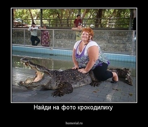 Найди на фото крокодилиху 