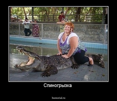 Спиногрызка 