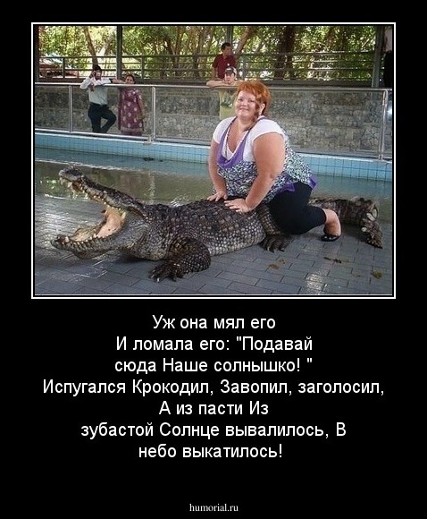  Уж она мял его 
 И ломала его: 
 "Подавай сюда 
 Наше солнышко! " 
 
Испугался Крокодил, 
Завопил, заголосил, 
А из пасти 
Из зубастой 
Солнце вывалилось, 
В небо выкатилось! 
