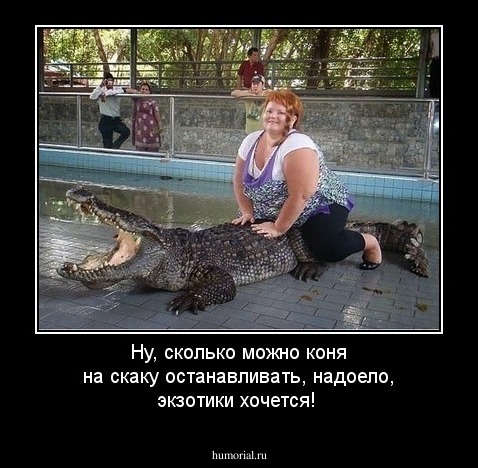 Ну, сколько можно коня на скаку останавливать, надоело, экзотики хочется! 