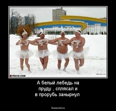 А белый лебедь на пруду ,
 сплясал и в прорубь занырнул