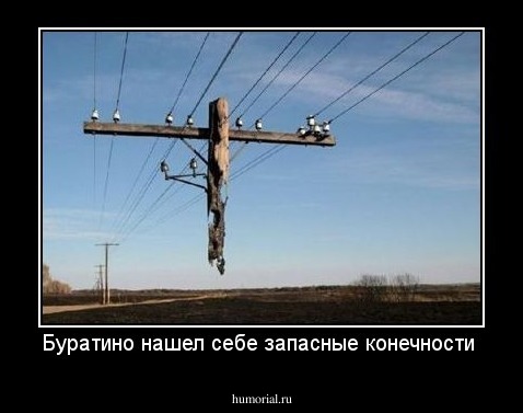 Буратино нашел себе запасные конечности 