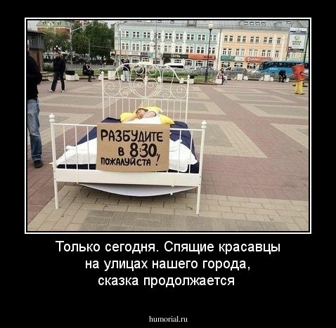 Только сегодня. Спящие красавцы  на улицах нашего города, сказка продолжается