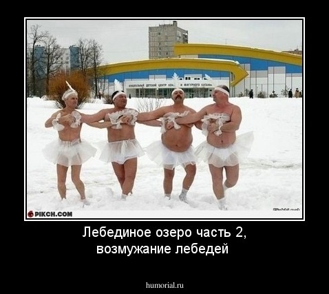 Лебединое озеро часть 2, возмужание лебедей