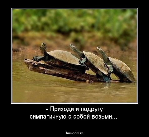 - Приходи и подругу симпатичную с собой возьми...
