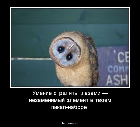  Умение стрелять глазами — незаменимый элемент в твоем пикап-наборе