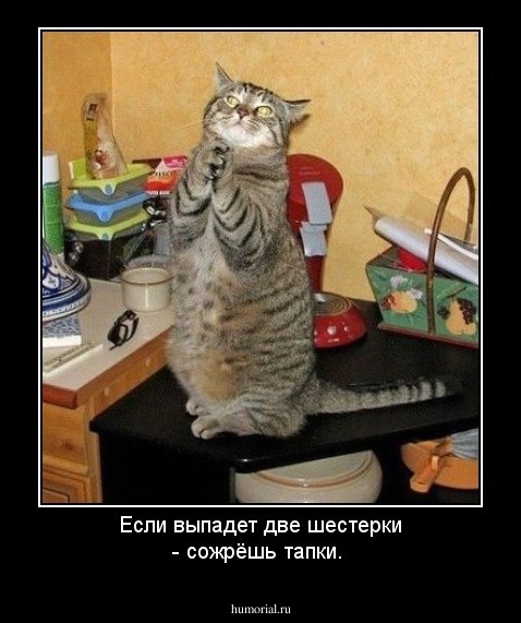 Если выпадет две шестерки - сожрёшь тапки.