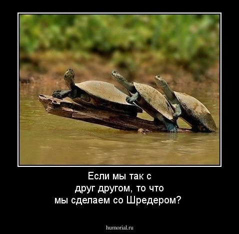 Если мы так с друг другом, то что мы сделаем со Шредером?