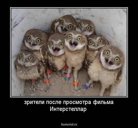 зрители после просмотра фильма Интерстеллар 