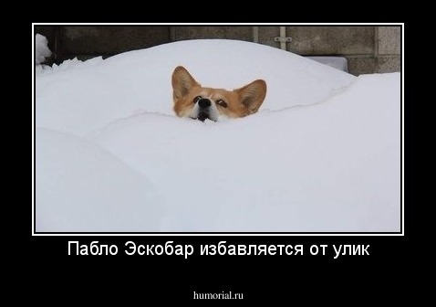 Пабло Эскобар избавляется от улик