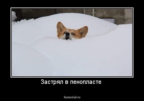 Застрял в пенопласте 