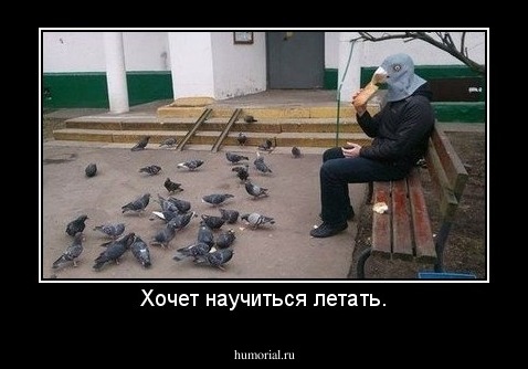 Хочет научиться летать.