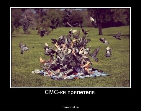 СМС-ки прилетели.
