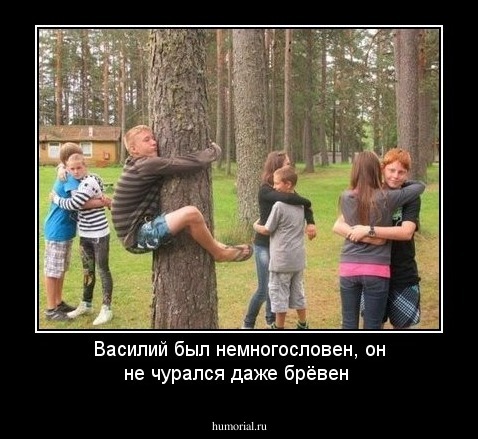 Василий был немногословен, он не чурался даже брёвен