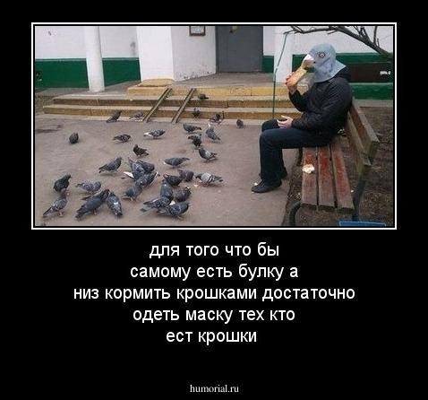 для того что бы самому есть булку а низ кормить крошками достаточно одеть маску тех кто ест крошки 