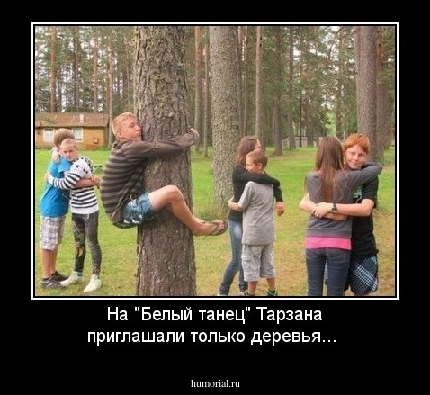 На "Белый танец" Тарзана приглашали только деревья...