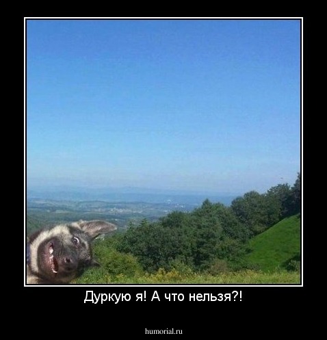 Дуркую я! А что нельзя?!