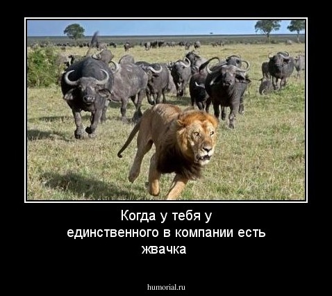 Когда у тебя у единственного в компании есть жвачка 