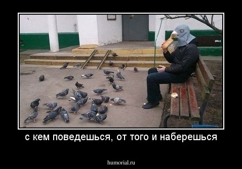 с кем поведешься, от того и наберешься