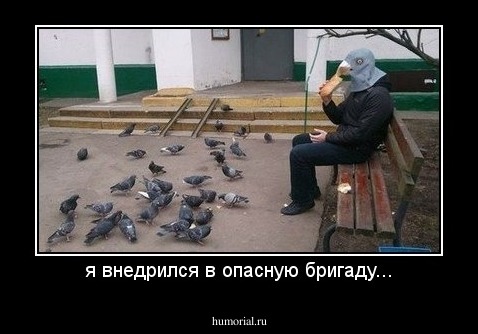 я внедрился в опасную бригаду...