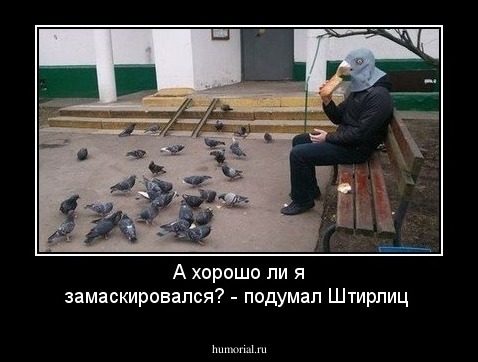 А хорошо ли  я замаскировался?  - подумал Штирлиц