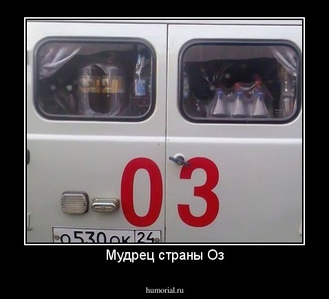 Мудрец страны Оз